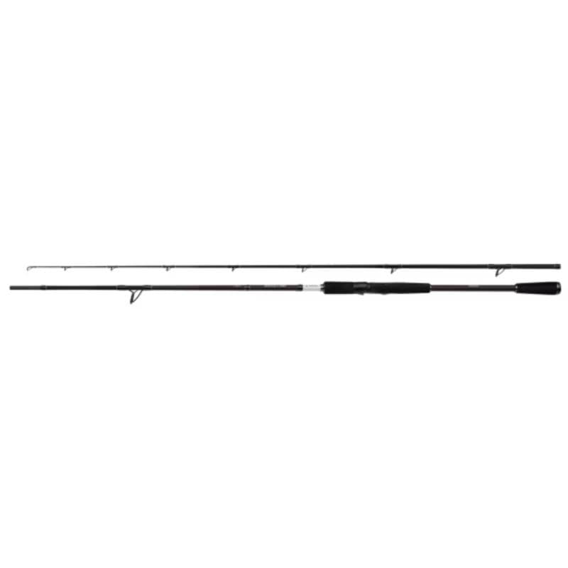 Shimano Yasei BB AX Pike Spin 2.20m 20-60g