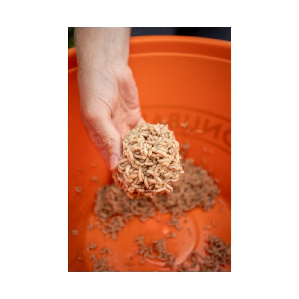 Sonubaits Maggot Glue - foto 8
