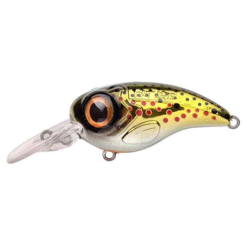 Spro Fat Iris 50 CR Brown Trout