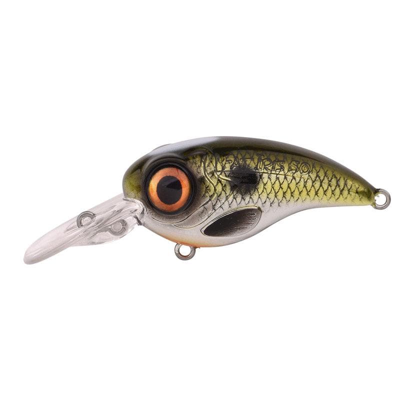 Spro Fat Iris 50 CR Shad