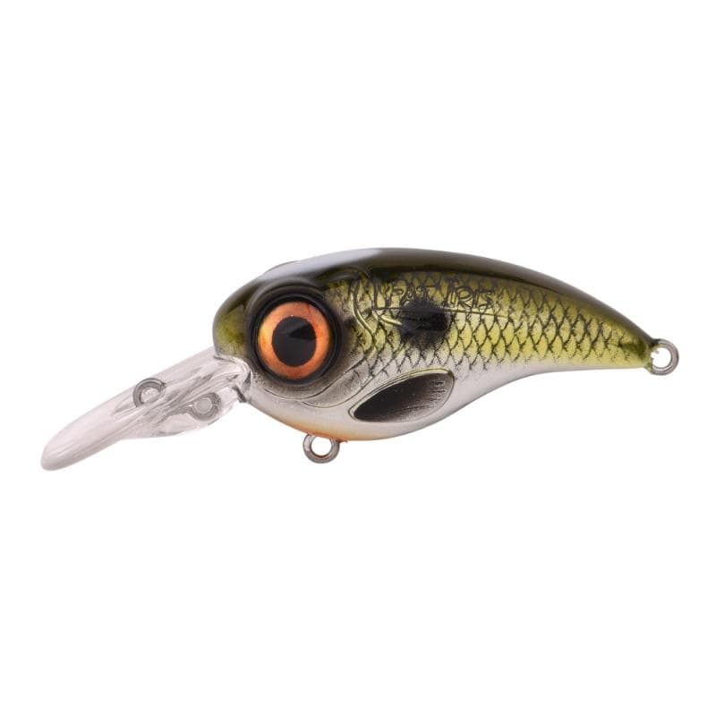 Spro Fat Iris 80CR Shad