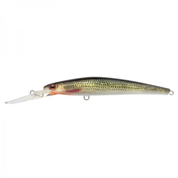 Spro Ikiru Jerk 120 LL Roach