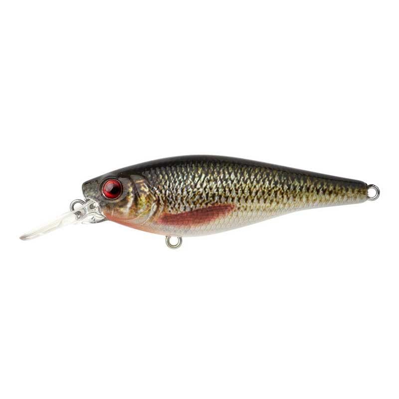Spro Ikiru Shad 70 Short Lip Roach
