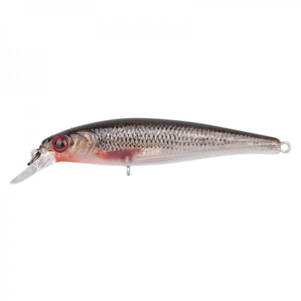 Spro Ikiru Silent Jerk 95 Roach