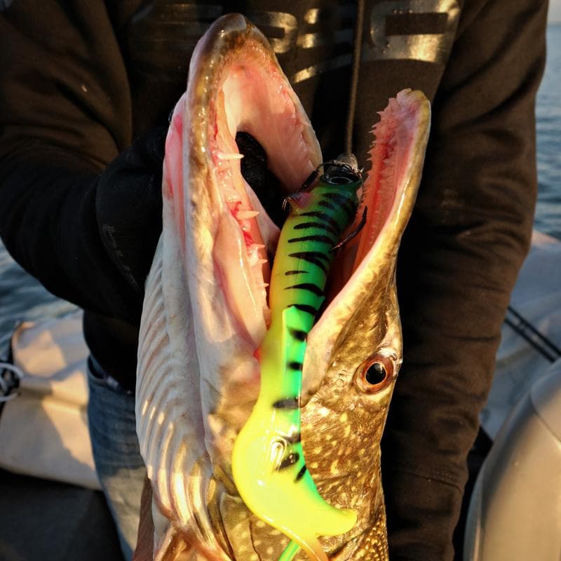 Spro Iris Shocktail 30cm Firetiger - foto 3