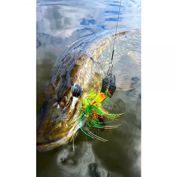 Spro Iris Thrillseeker 11cm 24gr Perch - foto 3