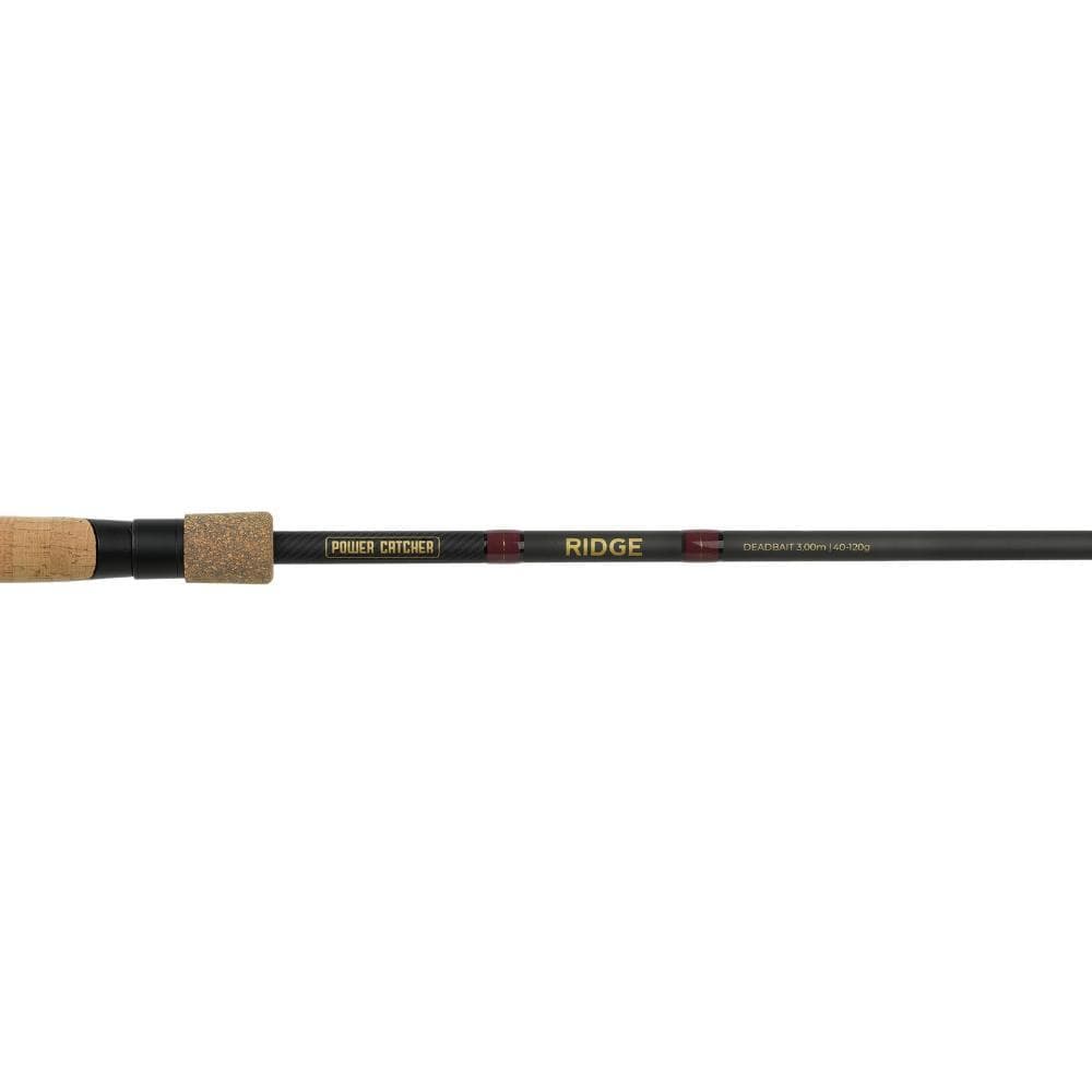 Spro Powercatcher Ridge Deadbait 3.00m 40-120g - foto 3