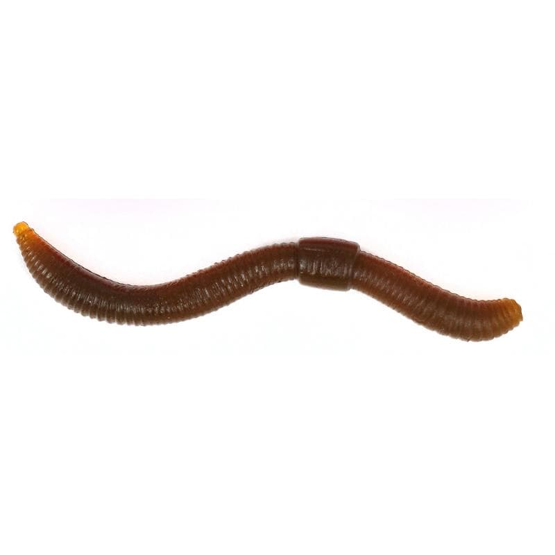 Spro Trout Master Dendrobena 60 Natural